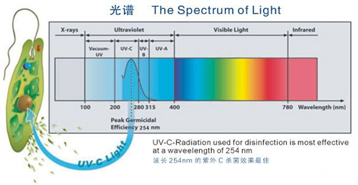 科普！紫外線殺菌燈對人體影響及正確使用方法